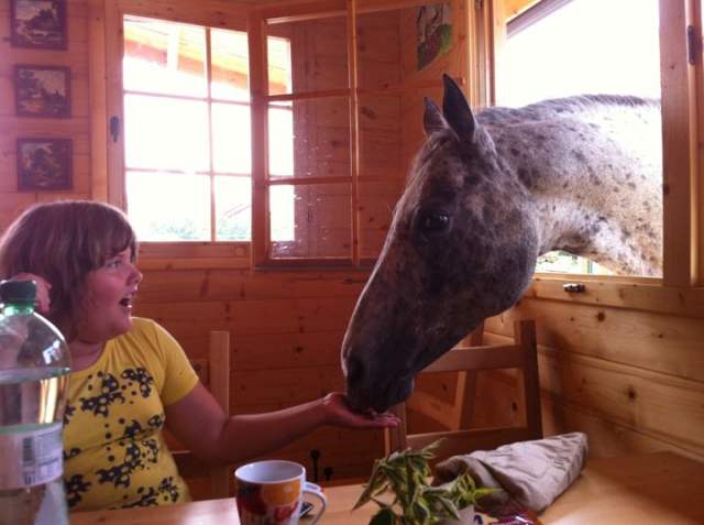 261746_1872087163883_1292263772_31696144_3672714_n